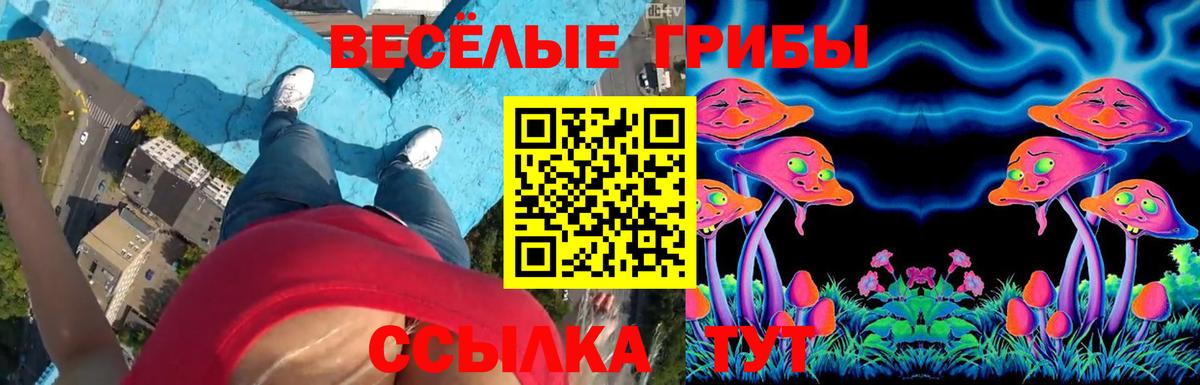 Галлюциногенные грибы Cubensis Волжский